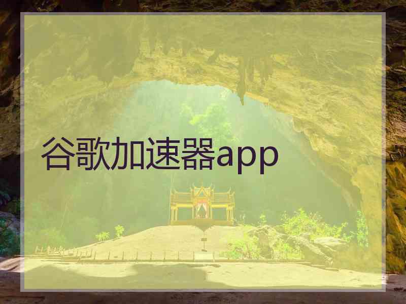 谷歌加速器app