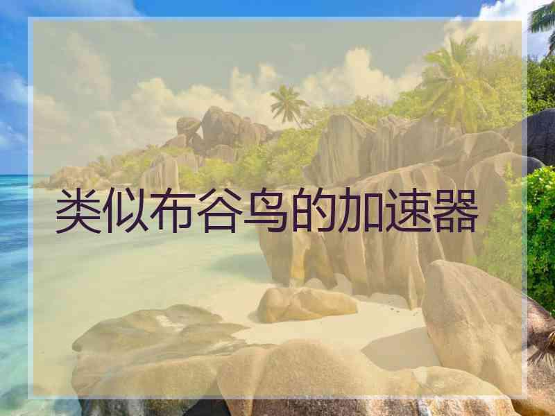 类似布谷鸟的加速器