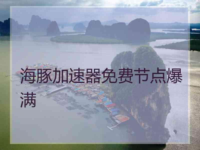 海豚加速器免费节点爆满