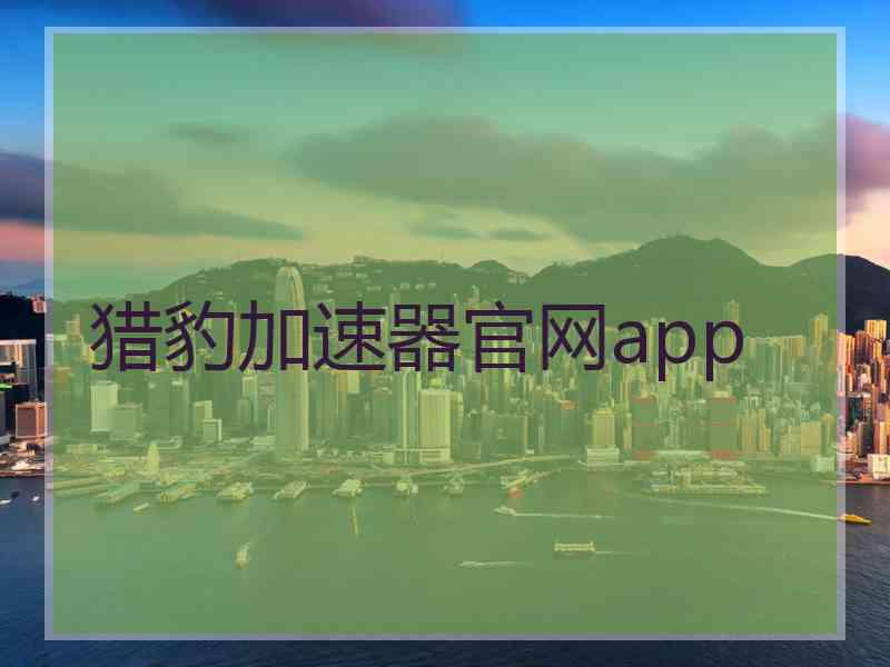 猎豹加速器官网app