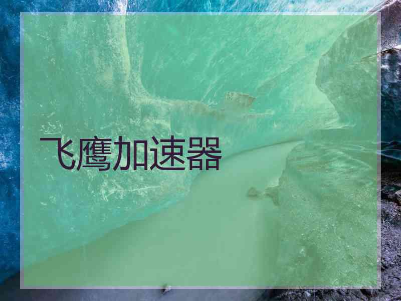 飞鹰加速器