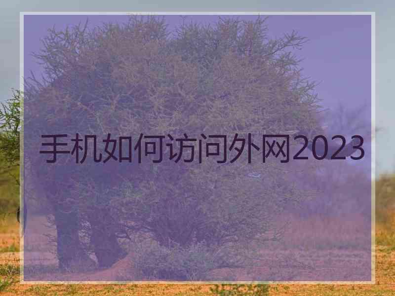 手机如何访问外网2023