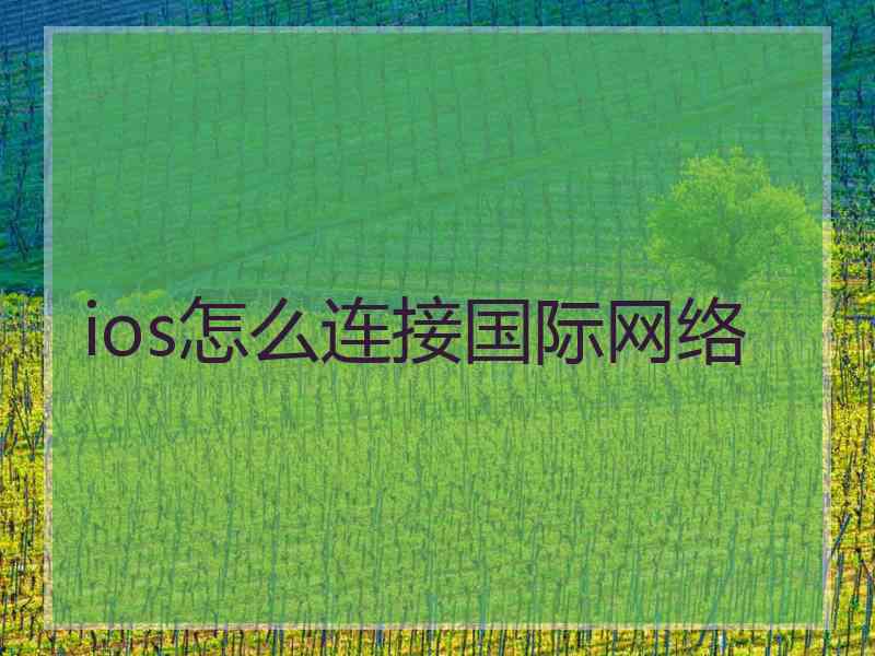 ios怎么连接国际网络