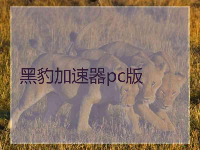 黑豹加速器pc版