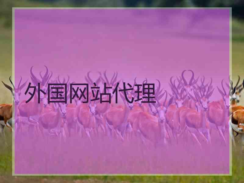 外国网站代理