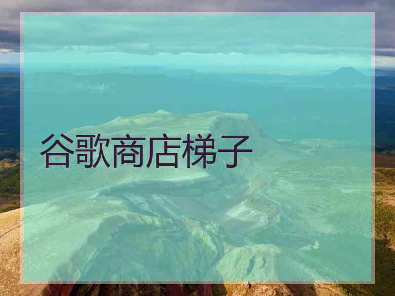 谷歌商店梯子