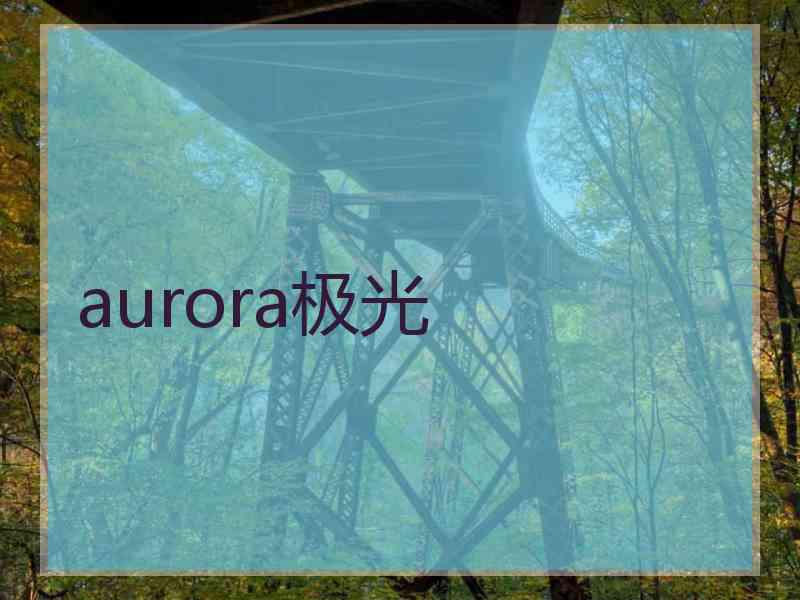 aurora极光