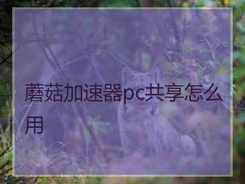 蘑菇加速器pc共享怎么用
