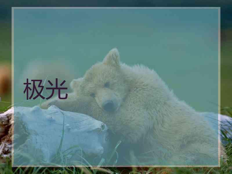 极光