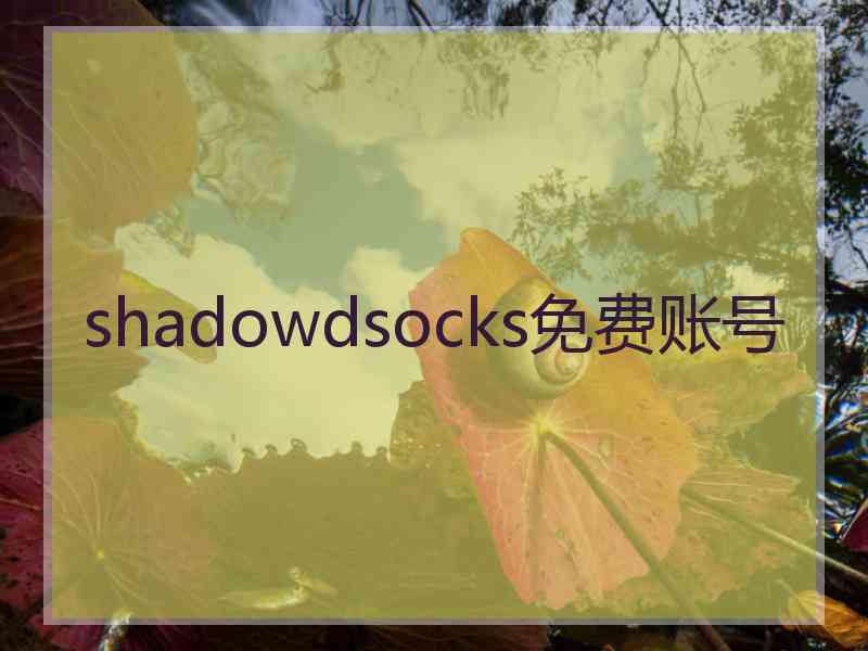 shadowdsocks免费账号