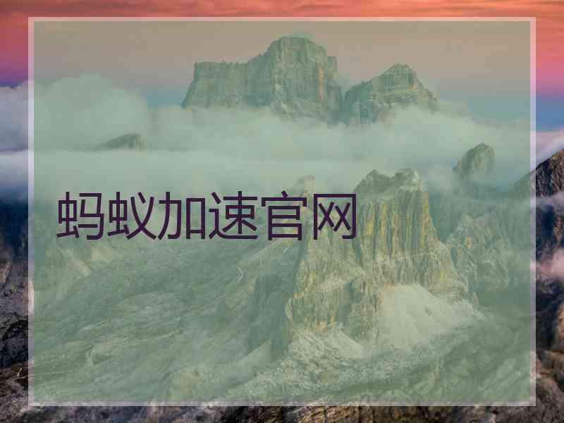 蚂蚁加速官网