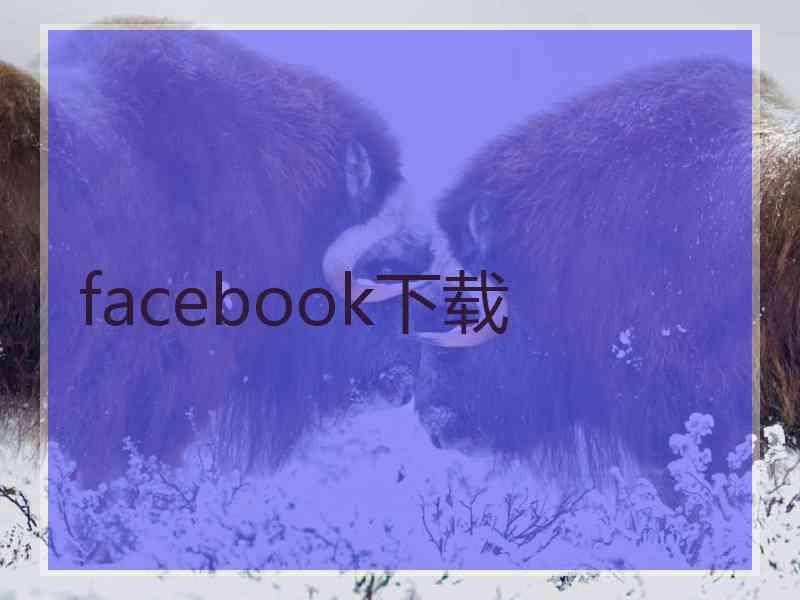 facebook下载