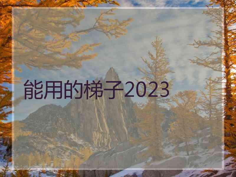 能用的梯子2023