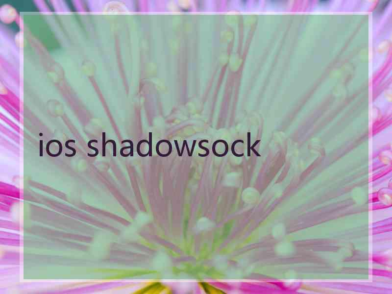 ios shadowsock