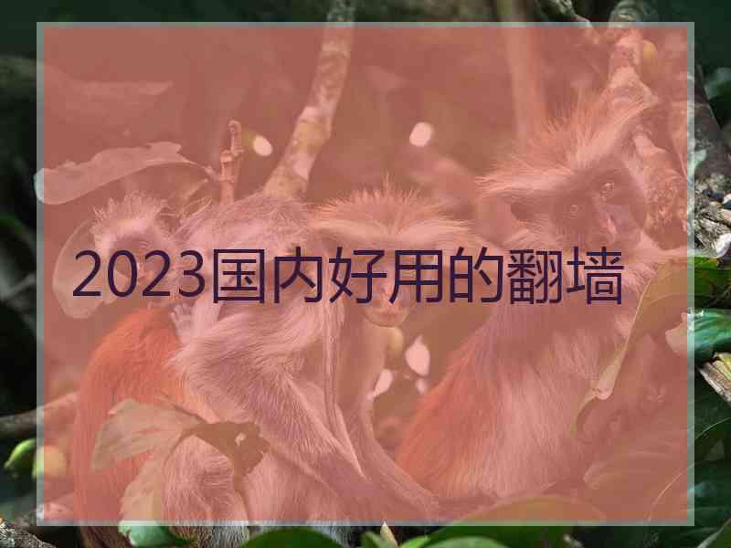 2023国内好用的翻墙