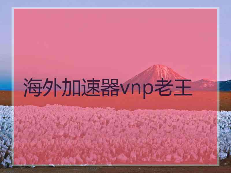 海外加速器vnp老王