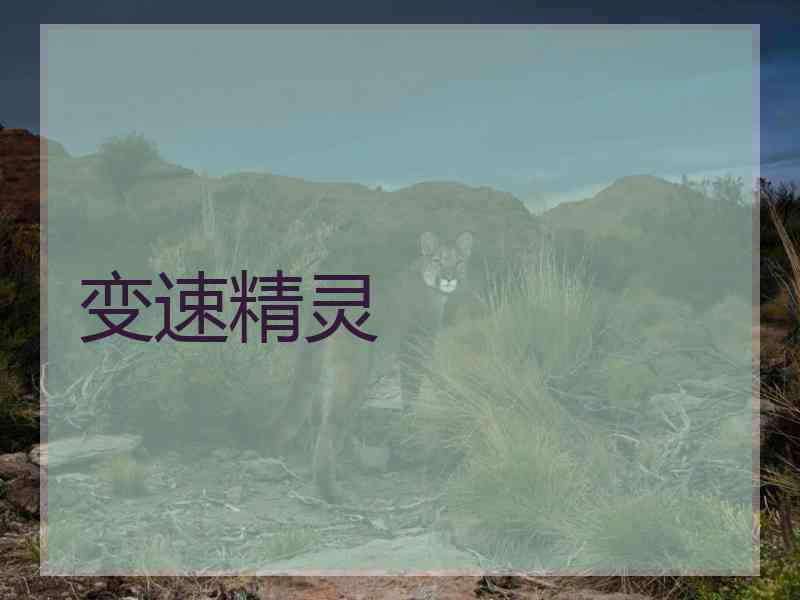 变速精灵
