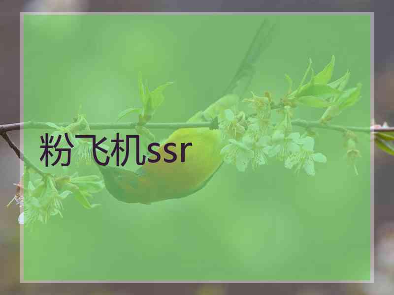 粉飞机ssr