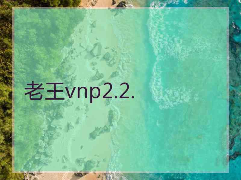 老王vnp2.2.