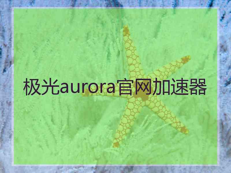 极光aurora官网加速器