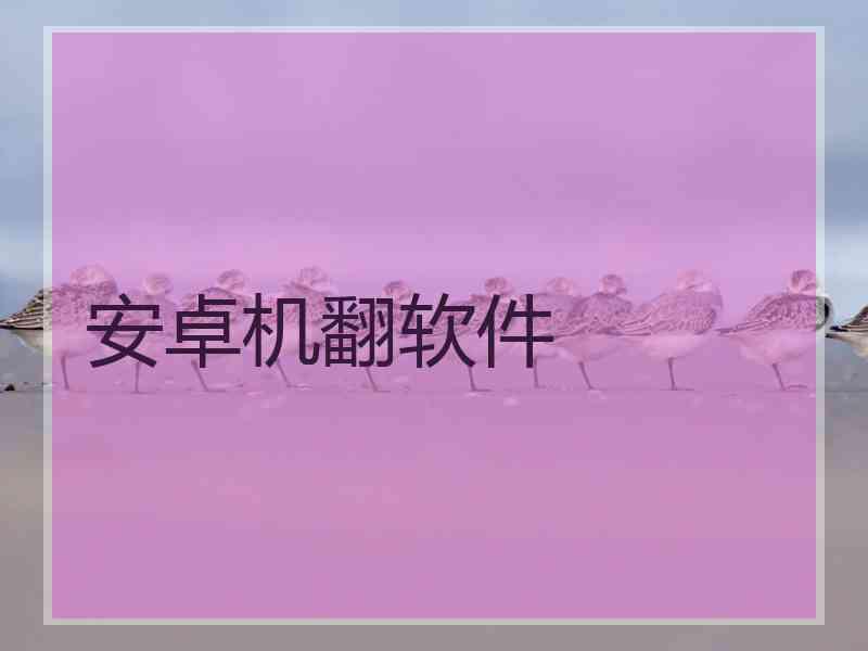 安卓机翻软件