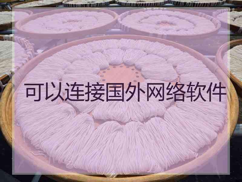 可以连接国外网络软件