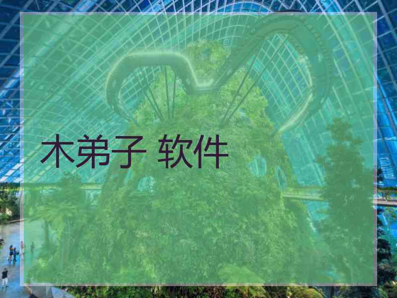 木弟子 软件