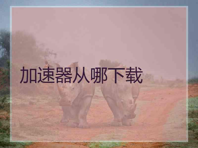 加速器从哪下载