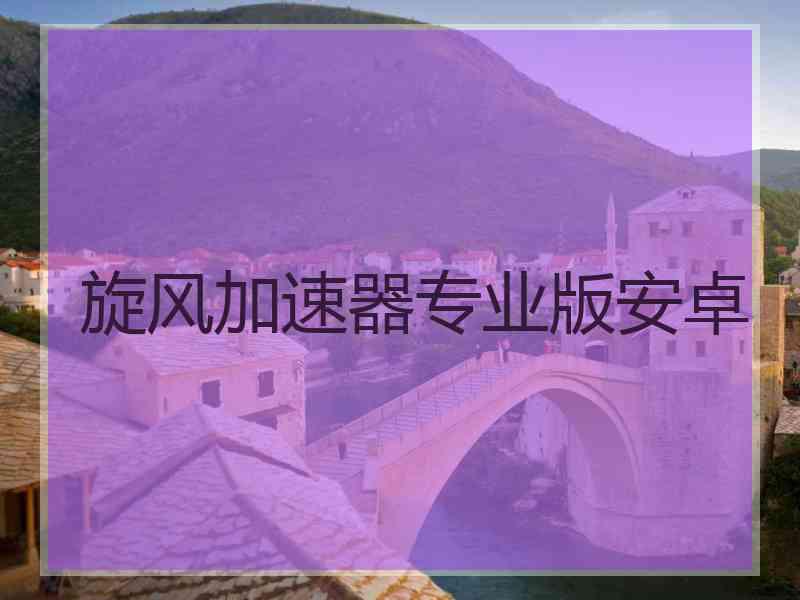 旋风加速器专业版安卓
