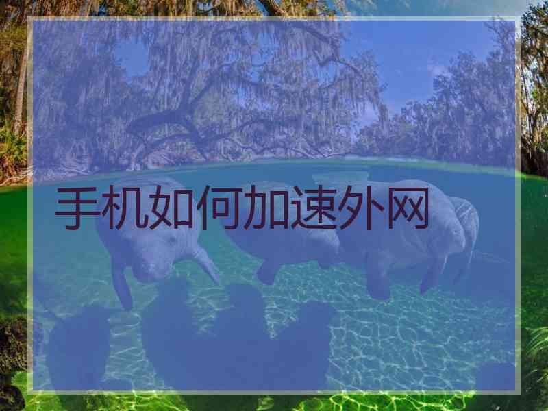 手机如何加速外网