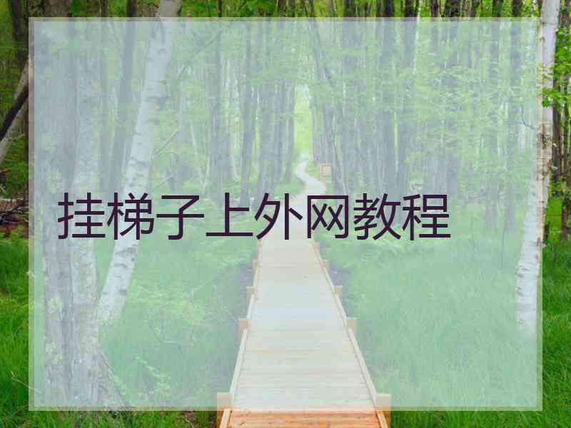 挂梯子上外网教程