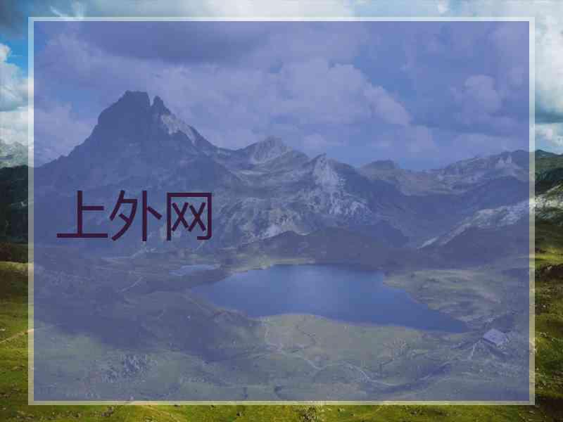 上外网