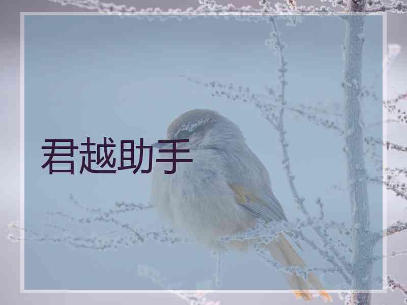 君越助手
