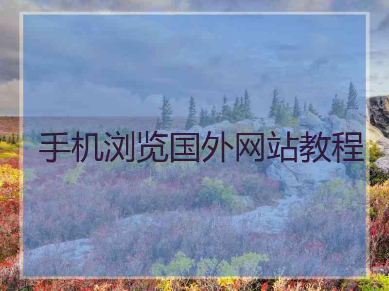 手机浏览国外网站教程