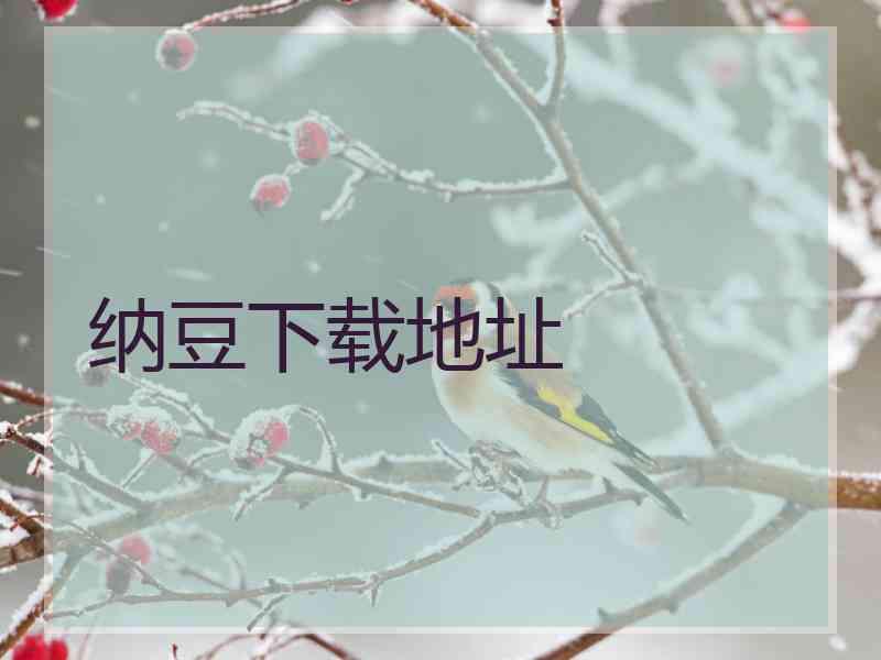 纳豆下载地址