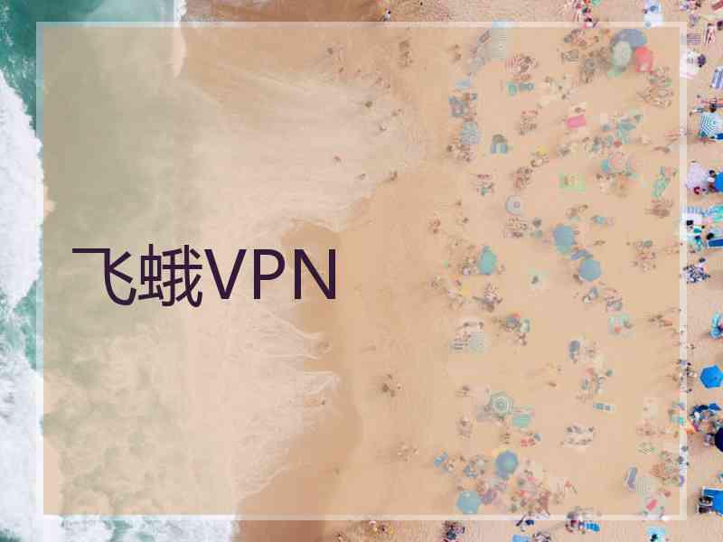 飞蛾VPN