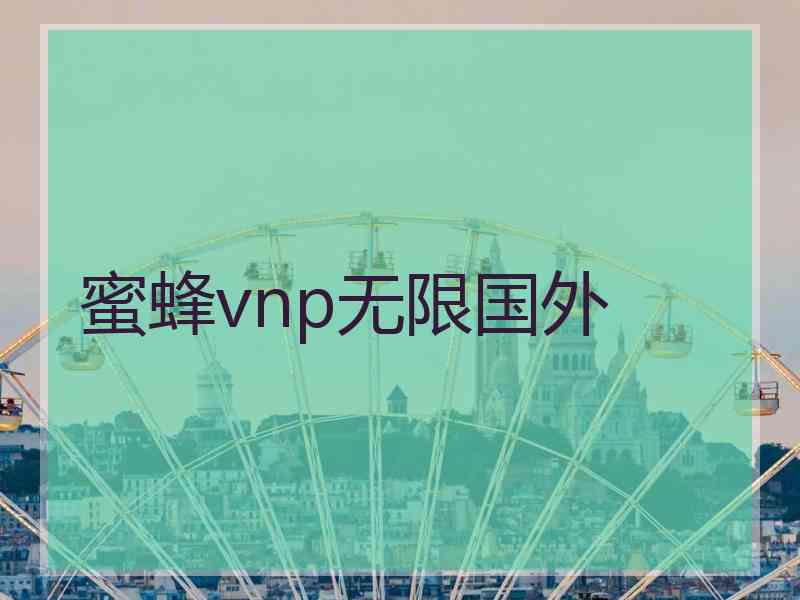 蜜蜂vnp无限国外