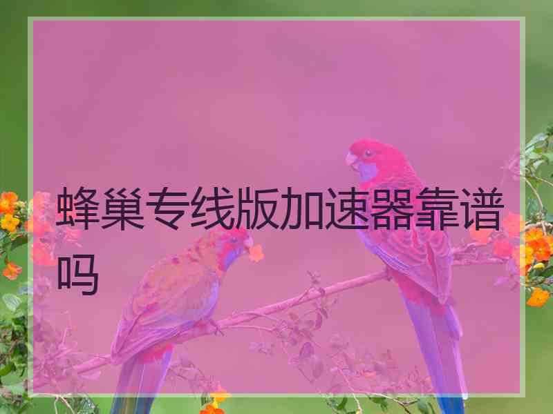 蜂巢专线版加速器靠谱吗