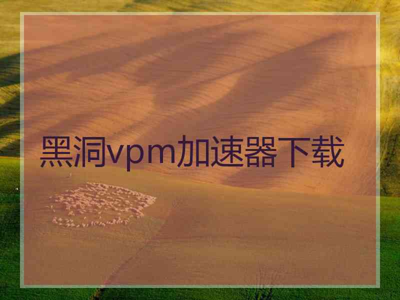 黑洞vpm加速器下载