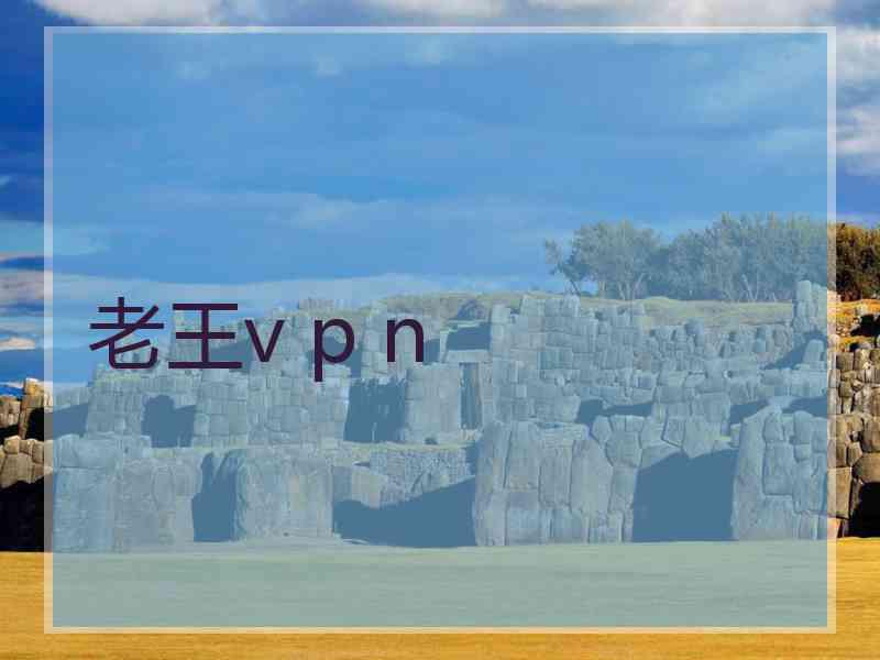 老王v p n