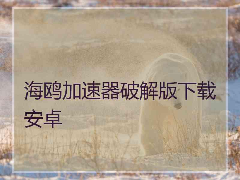 海鸥加速器破解版下载安卓