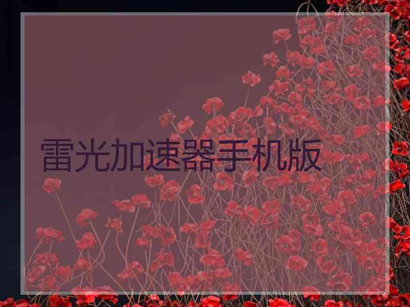 雷光加速器手机版