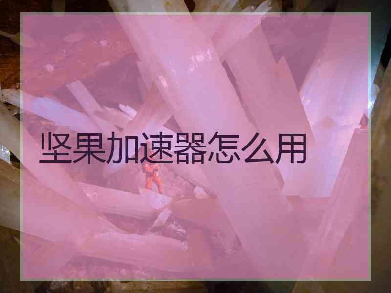 坚果加速器怎么用