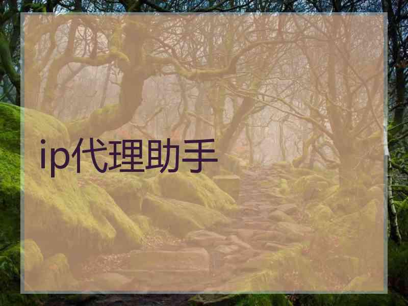 ip代理助手