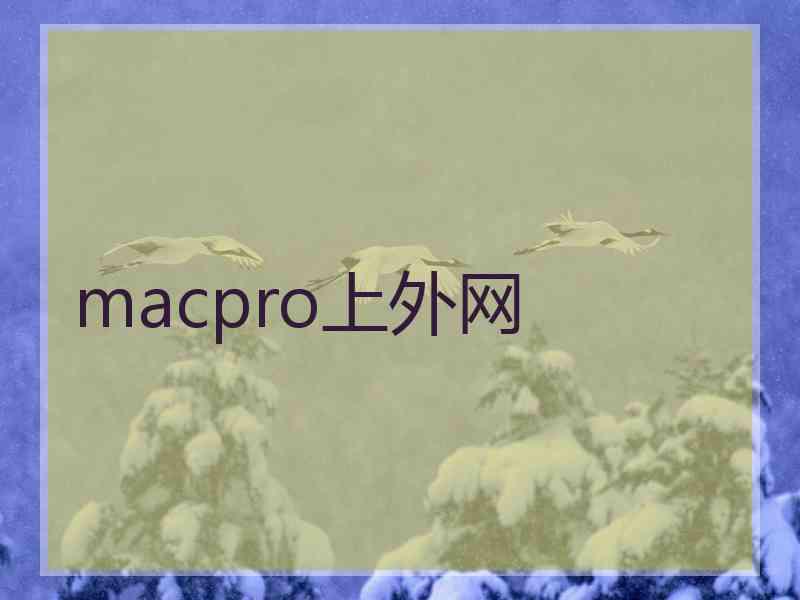 macpro上外网