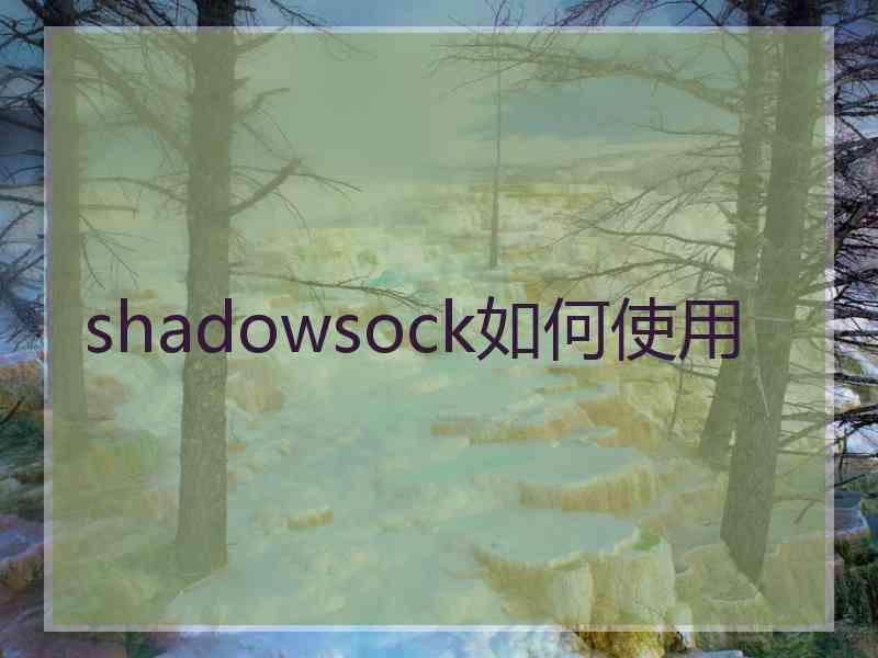 shadowsock如何使用