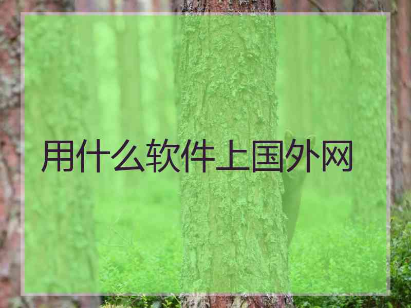 用什么软件上国外网