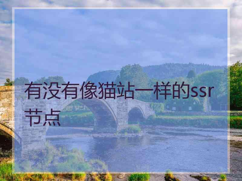 有没有像猫站一样的ssr节点