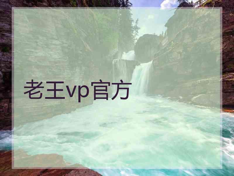 老王vp官方