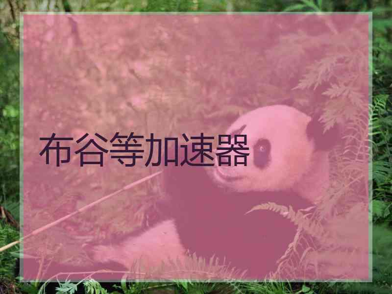 布谷等加速器